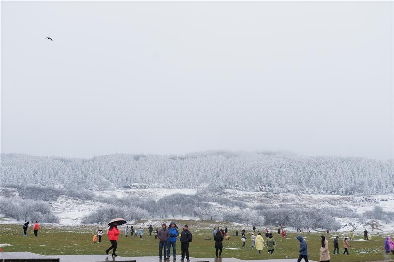 武隆仙女山大草原