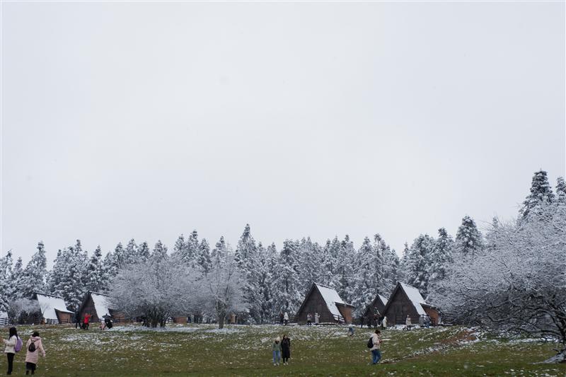 武隆区 仙女山雪景 武隆区 仙女山雪景