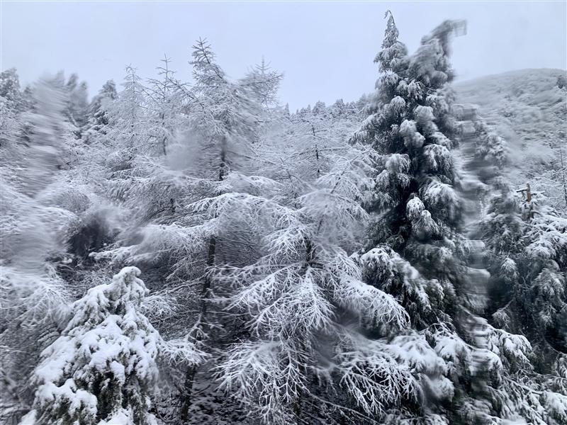 重庆 武隆 仙女山 冬天