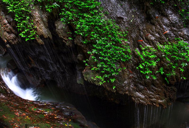 武隆 龙水峡地缝 武隆 龙水峡地缝