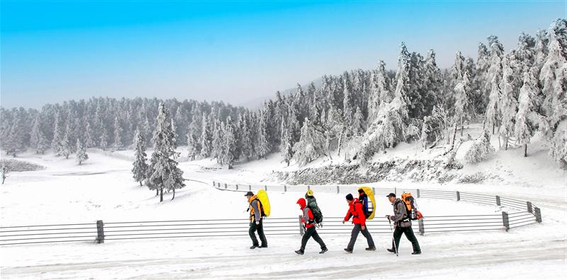重庆 武隆  重庆 武隆