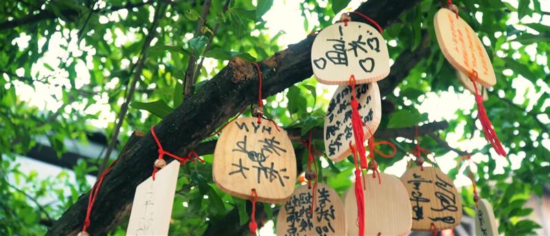 九街壹华里公园 九街壹华里公园