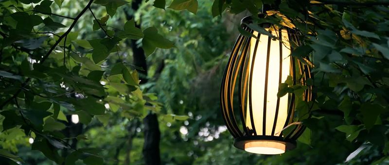 南山 九街壹华里公园 南山 九街壹华里公园