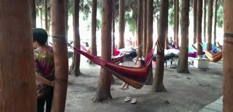 武陵山森林公园 武陵山森林公园