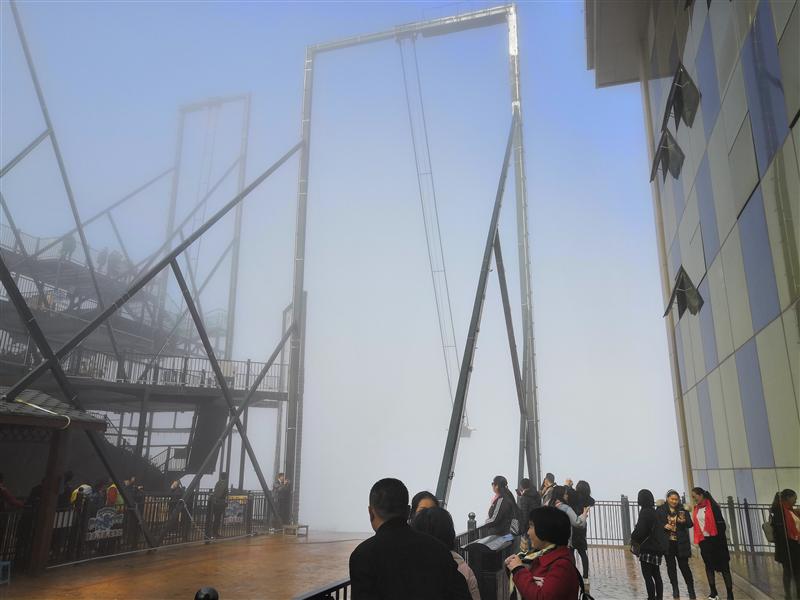 奥陶纪 悬崖秋千