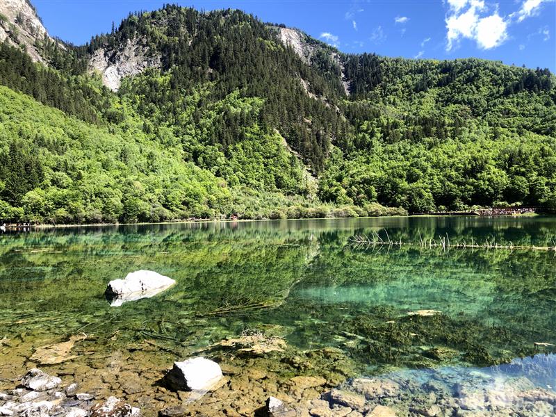 四川 九寨沟 五花海