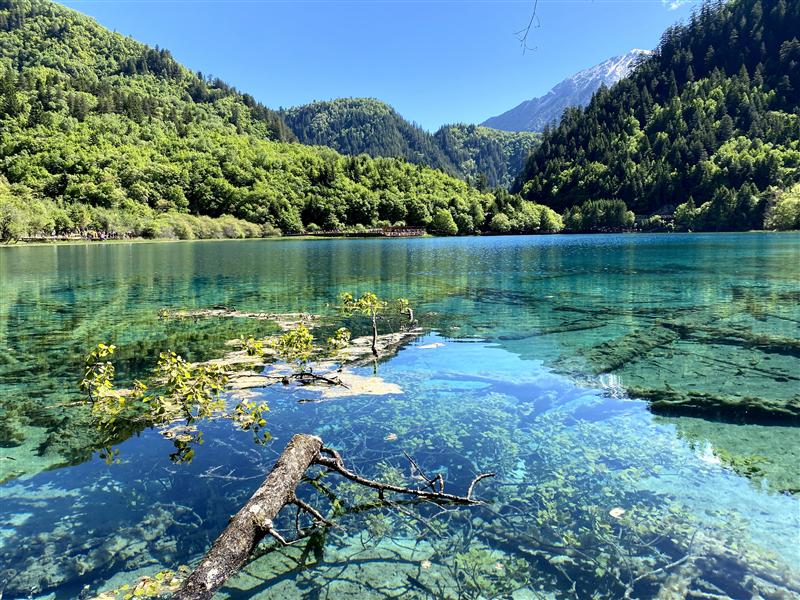 四川 九寨沟 五花海 四川 九寨沟 五花海