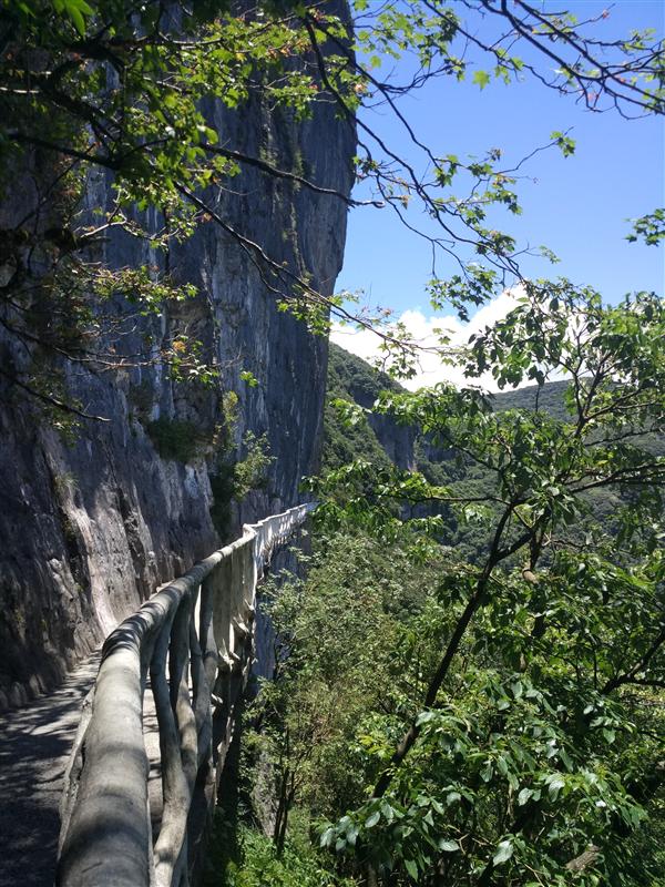 南川金佛山 南川金佛山