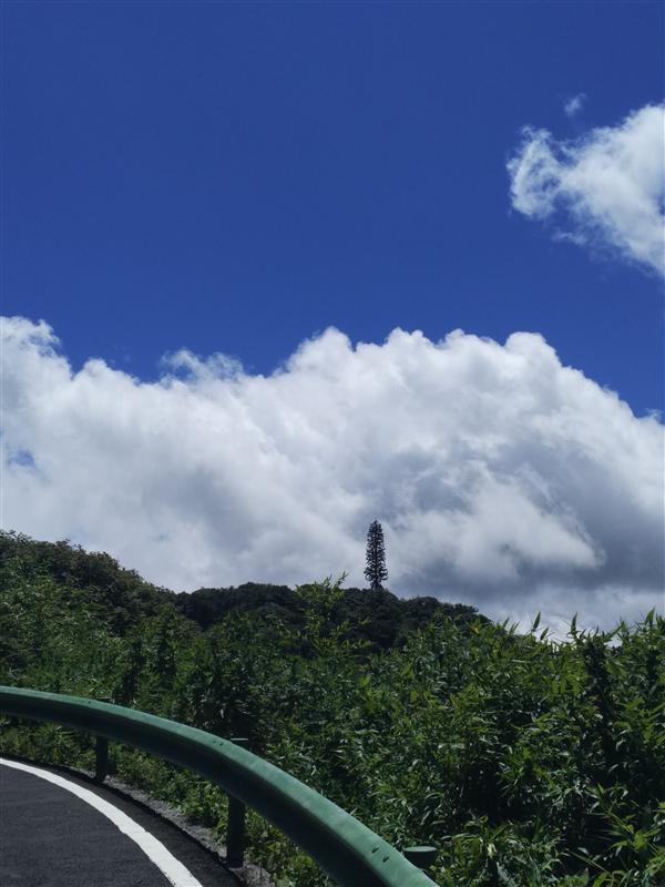 中国 重庆 南川金佛山 