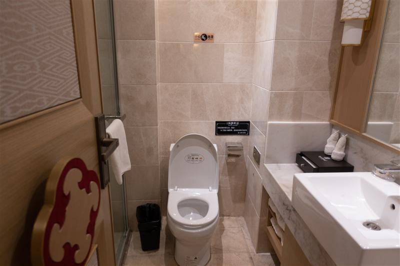 重庆 彭水 九黎城 九黎大酒店 