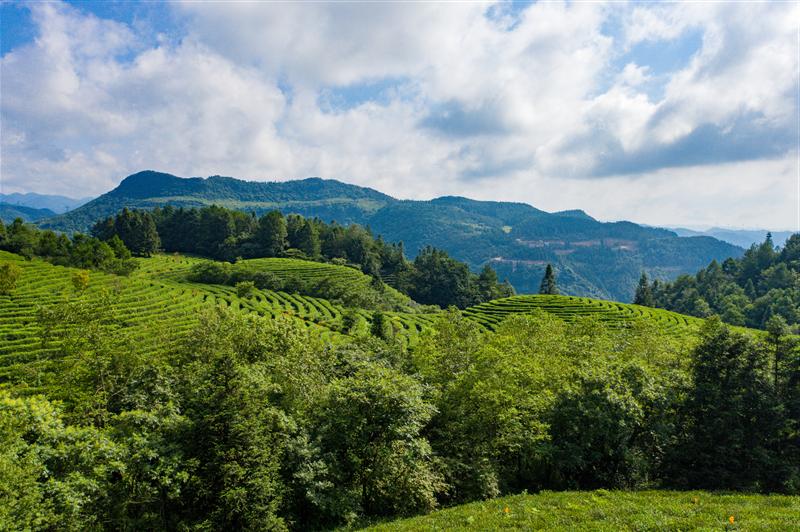 白马山 重庆 武隆区 白马山