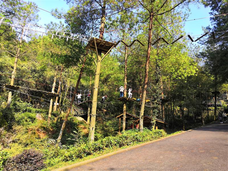 重庆 奥陶纪 丛林飞跃  重庆 奥陶纪 丛林飞跃