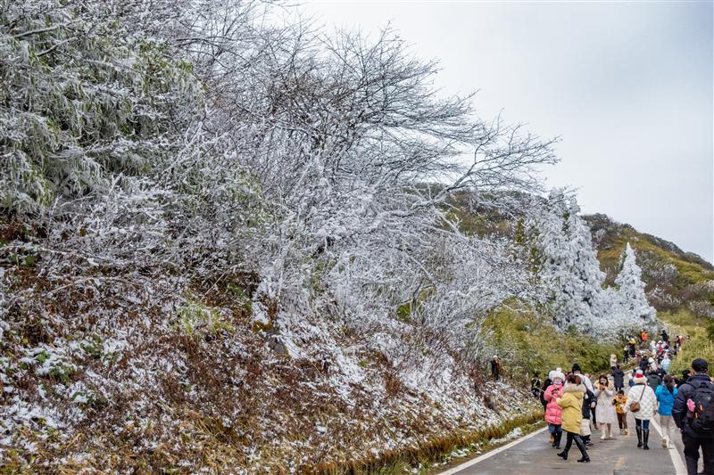 中国 重庆 南川 金佛山 中国 重庆 南川 金佛山
