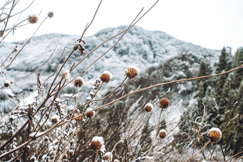 中国 重庆 南川 金佛山 北坡