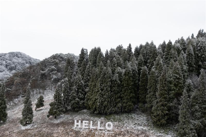 中国 重庆 南川 金佛山 中国 重庆 南川 金佛山