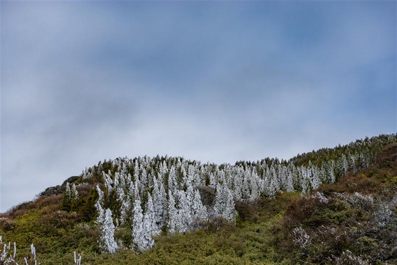 中国 重庆 南川 金佛山 中国 重庆 南川 金佛山