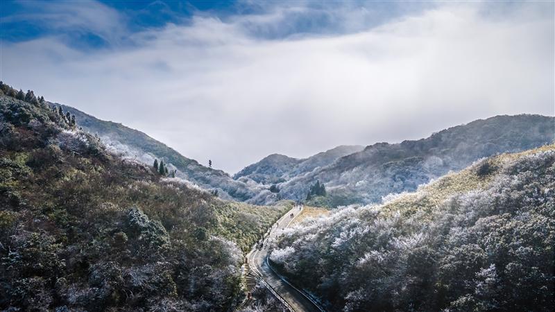 中国 重庆 南川 金佛山 中国 重庆 南川 金佛山