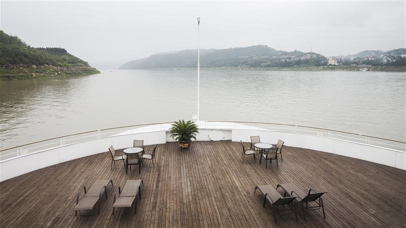 黄金2号  黄金2号