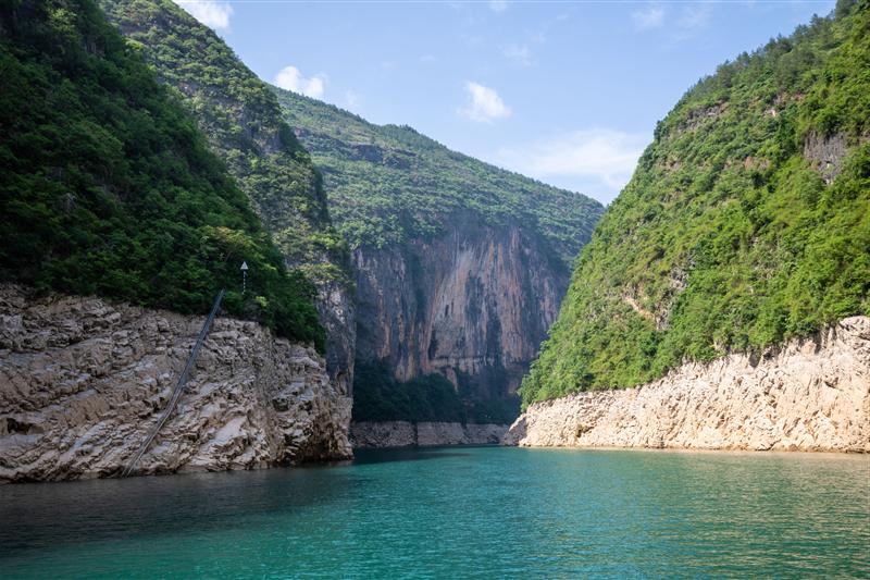 黄金5号 黄金5号