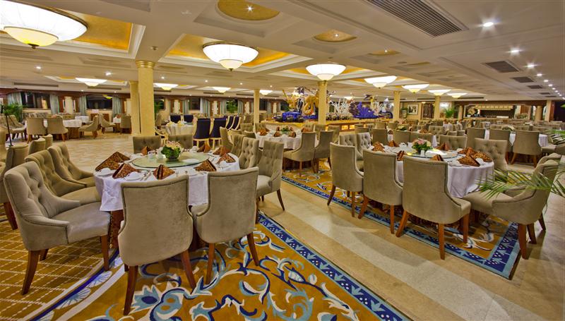 黄金2号  黄金2号