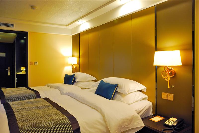 黄金7号   黄金7号