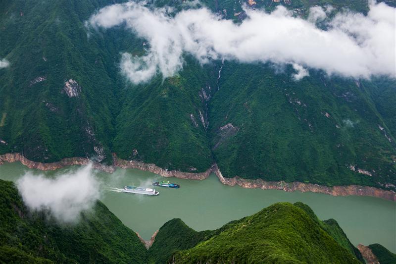 黄金八号 黄金八号