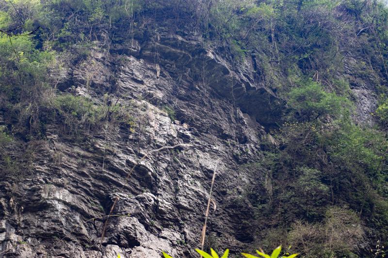 中国 湖北 宜昌 三峡人家 中国 湖北 宜昌 三峡人家
