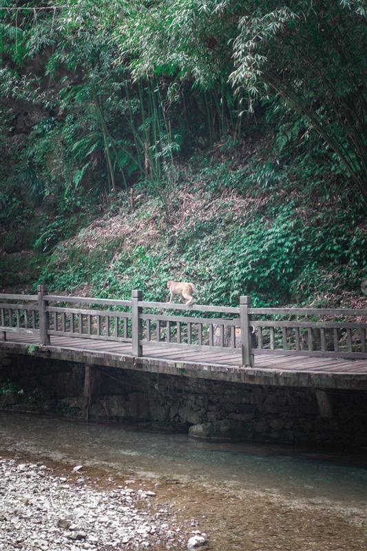 中国 湖北 宜昌 三峡人家 中国 湖北 宜昌 三峡人家