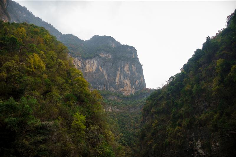Shennu Creek Three Gorges Shennu Creek Three Gorges