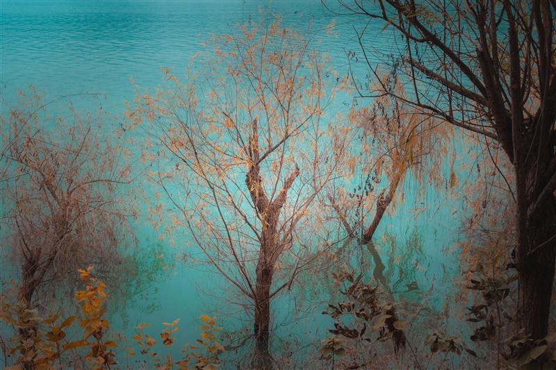 奉节石宝寨 奉节石宝寨