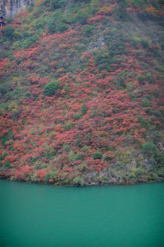 长江三峡游 长江三峡游