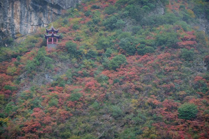 中国 重庆 长江三峡 巫峡  中国 重庆 长江三峡 巫峡