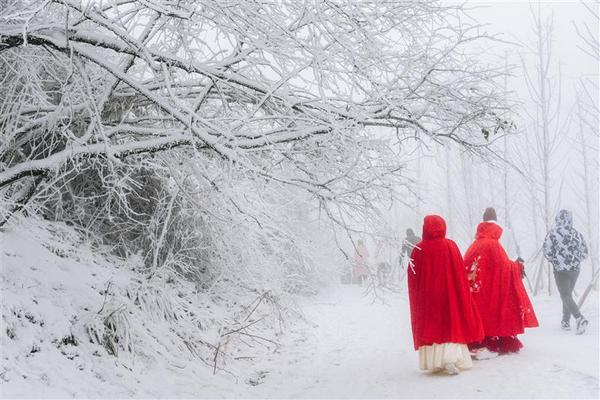 重庆 丰都 南天湖 冬季 杨志熠