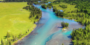 中國(guó) 新疆 喀納斯8