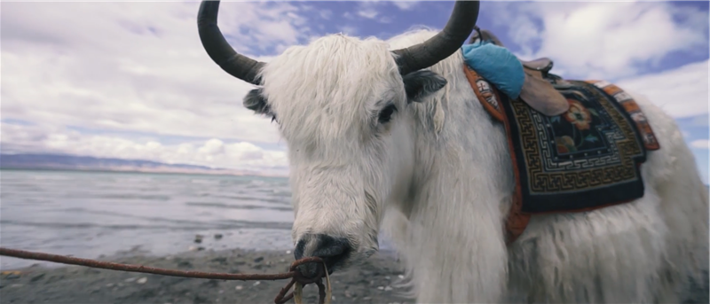 中国 青海 茶卡盐湖