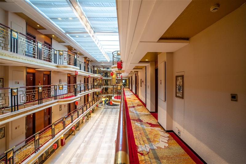 黄金6号 黄金6号