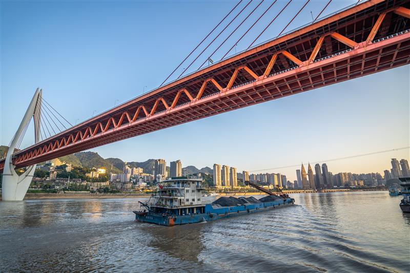 黄金6号 黄金6号