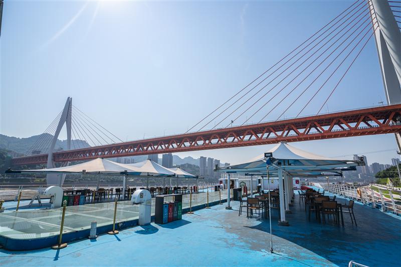 黄金6号 黄金6号