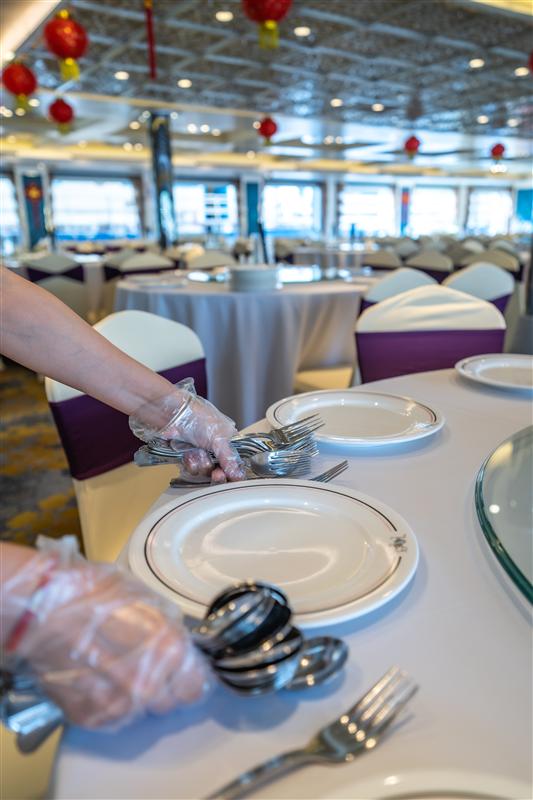 美维凯珍 美维凯珍