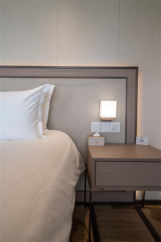 星际雅典娜行政套房 星际雅典娜行政套房