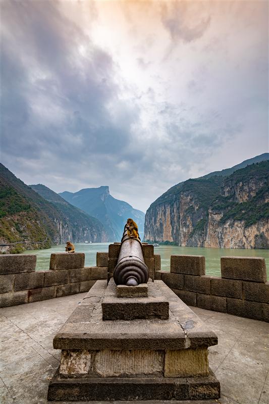 Wild Macaque Kuimen Ancient Battery in Chijialou, Baidi City, Fengjie, Chongqing, China Wild Macaque Kuimen Ancient Battery in Chijialou, Baidi City, Fengjie, Chongqing, China