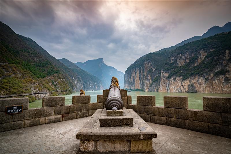 Wild Macaque Kuimen Ancient Battery in Chijialou, Baidi City, Fengjie, Chongqing, China Wild Macaque Kuimen Ancient Battery in Chijialou, Baidi City, Fengjie, Chongqing, China