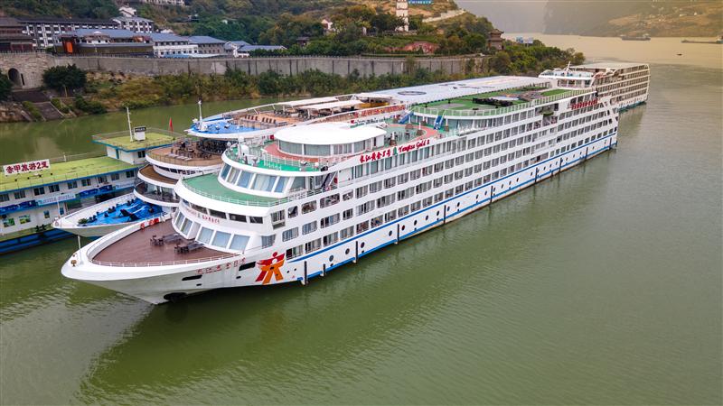 Changjiang Golden No. 8 Changjiang Golden No. 8