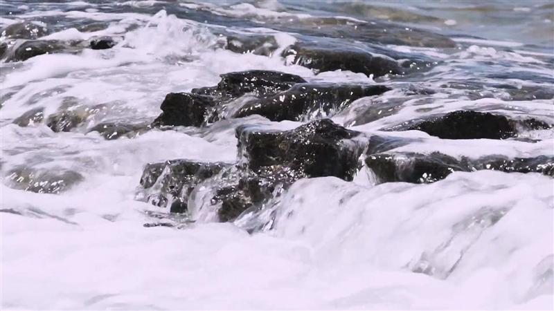 海洋邮轮 海洋邮轮