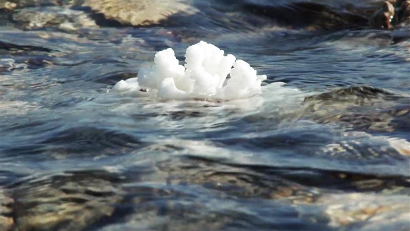 海洋邮轮 梦之旅 海洋邮轮 梦之旅