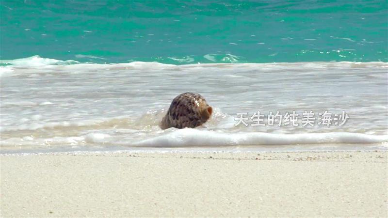 海洋邮轮 梦之旅