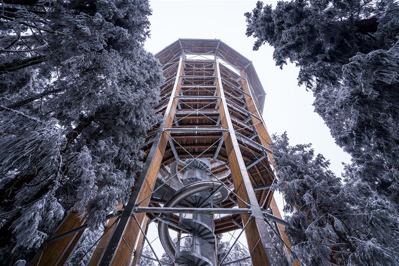 中国 重庆 武隆 仙女山 树顶漫步