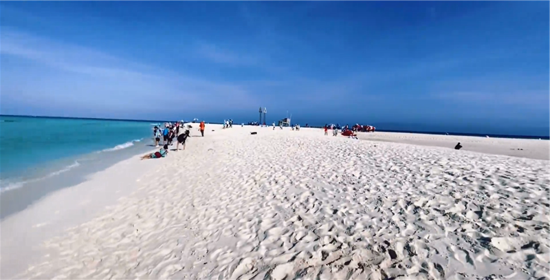 海洋邮轮 南海邮轮