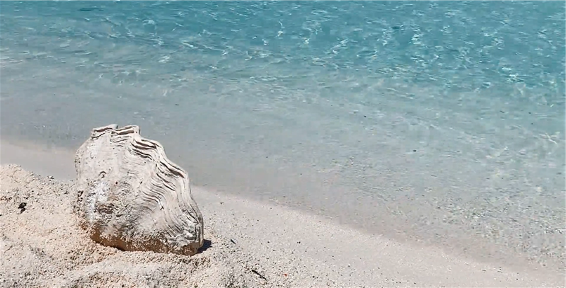 海洋邮轮 南海邮轮 海洋邮轮 南海邮轮