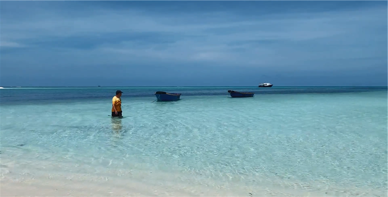 海洋邮轮 南海邮轮 海洋邮轮 南海邮轮